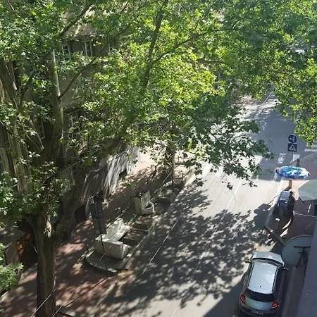 Spot * Belgrade
